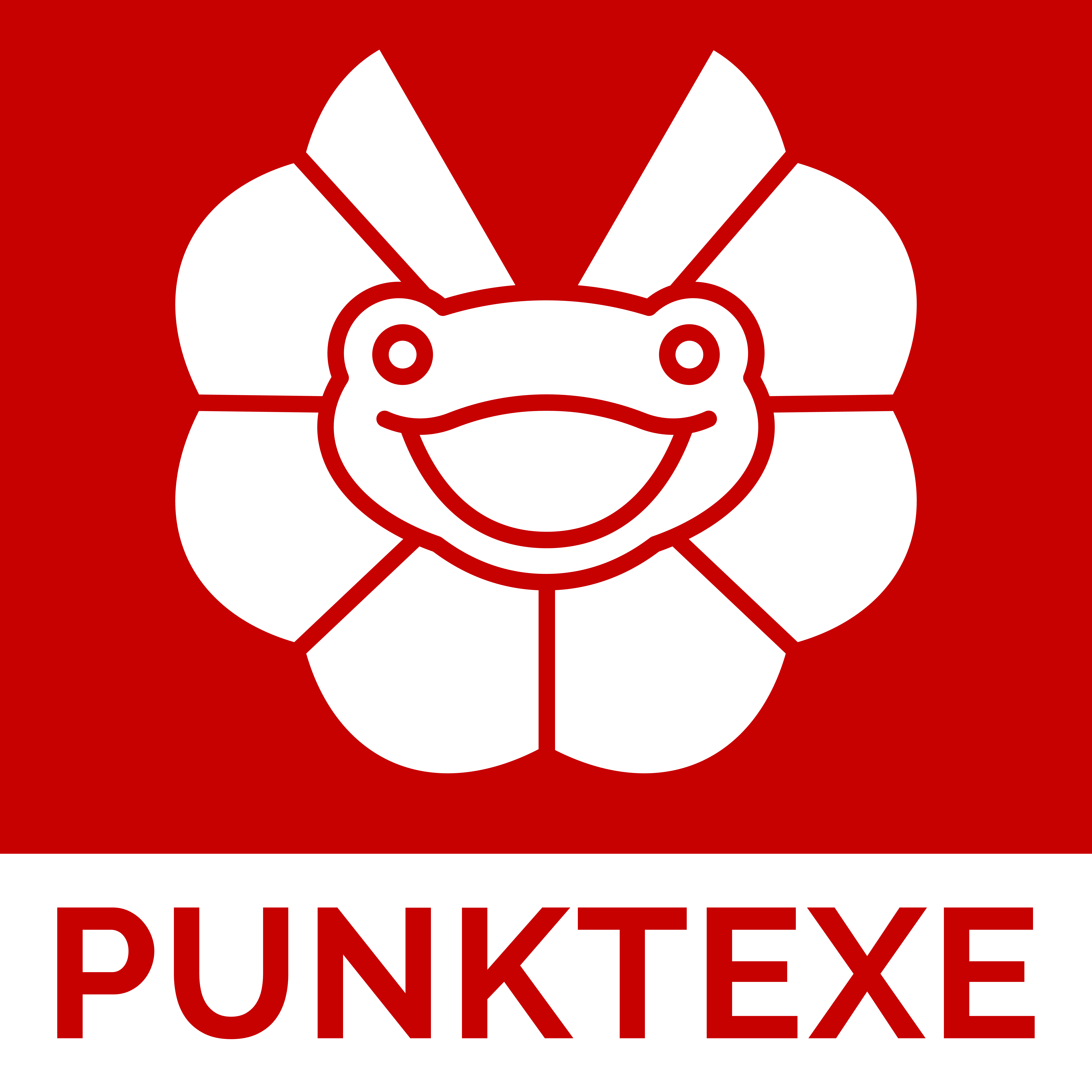 PUNKTEXE Logo